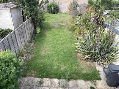 Picture 11